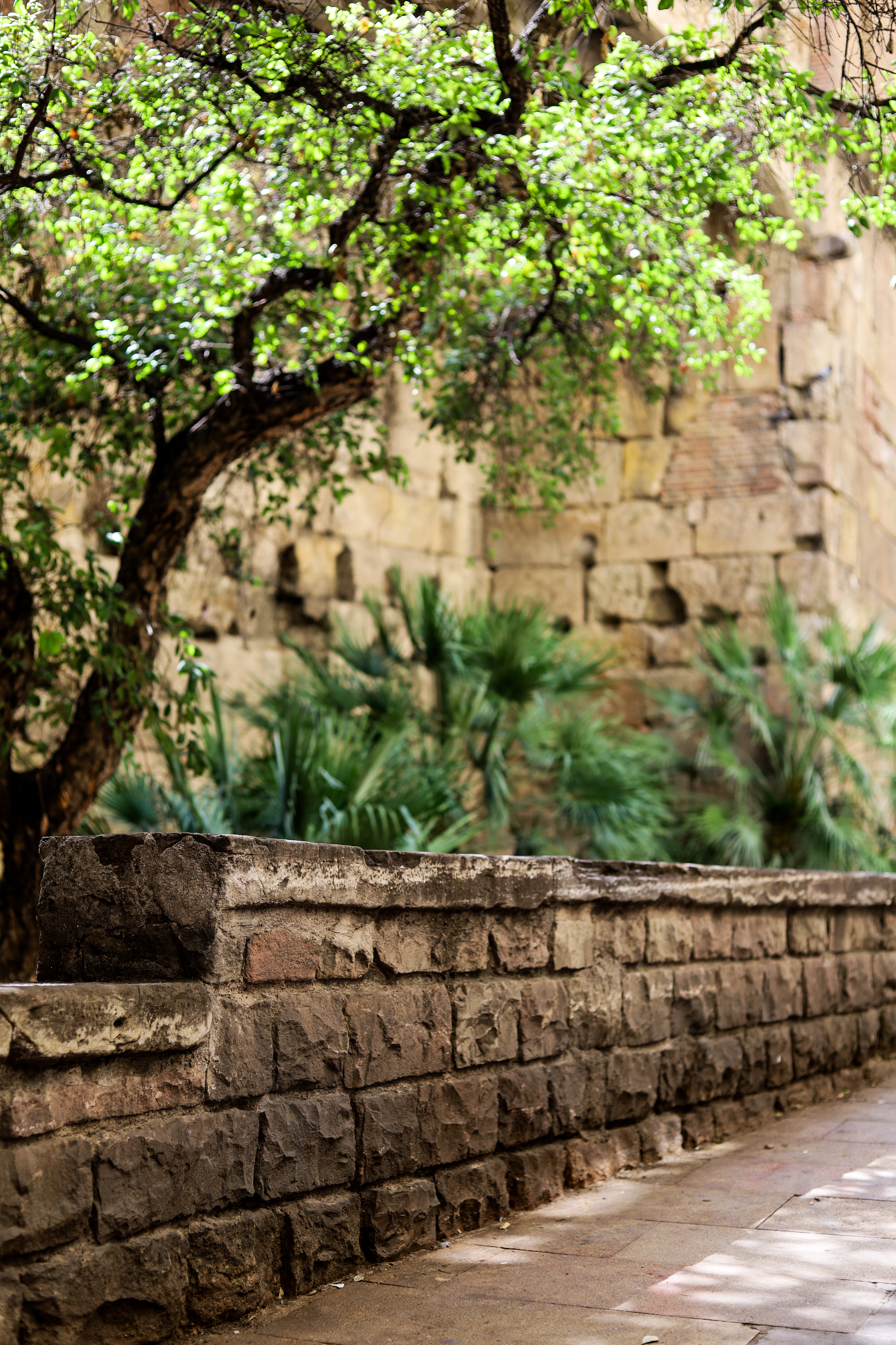 Natural landscape photography Barcelona area, Giovanna Costa